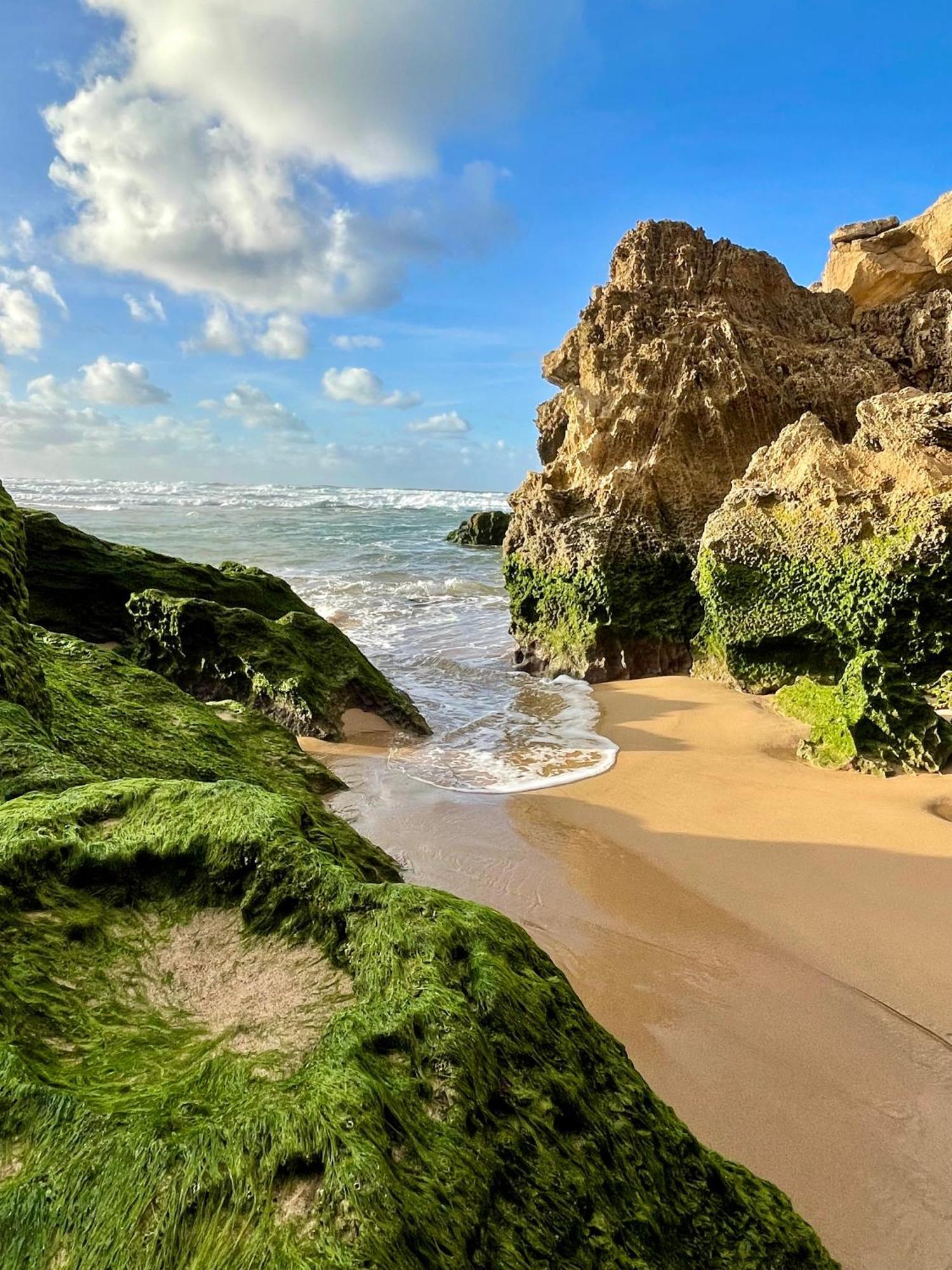 California Dream Inn Aljezur Bagian luar foto