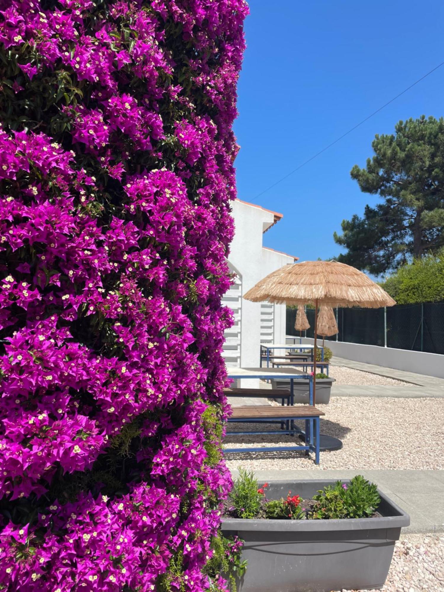 California Dream Inn Aljezur Bagian luar foto